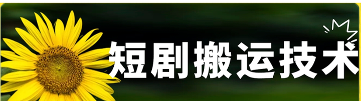 最新短剧搬运技术，不限制机型-欢迎访问本站