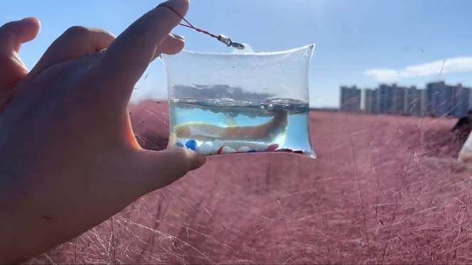 图片[5]-手工小成本泡泡鱼地摊创业项目【日賺500+】抖音爆火-暗冰资源网