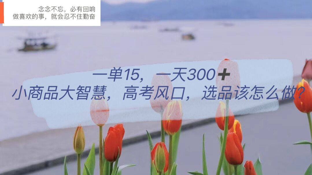 日入300的视频号引流变现项目，小商品选品布局获取高回报-欢迎访问本站