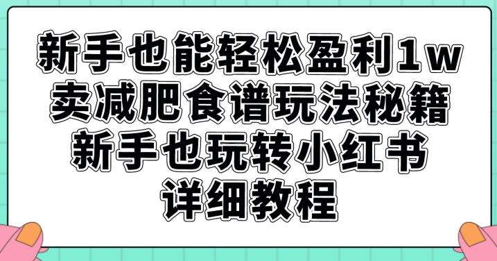 卖减肥食谱轻松盈利1W【详细教程】-欢迎访问本站