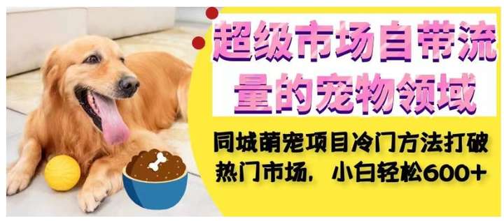 同城萌宠项目：自带流量的宠物领域，小白轻松600+-欢迎访问本站