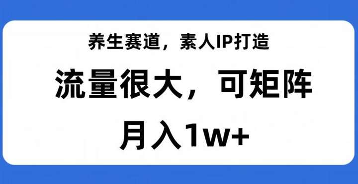 打造养生赛道IP，教你月入五位数【深度揭秘】-欢迎访问本站