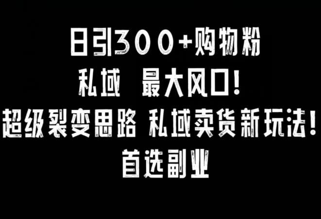 小红书日引300+购物粉私域卖货新玩法揭秘-欢迎访问本站
