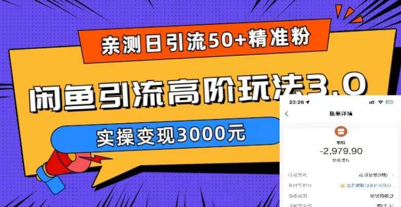 闲鱼引流实操教程，实测日引50+精准粉实操变现3000元-欢迎访问本站