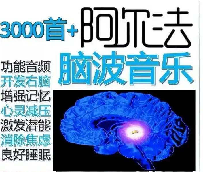 图片[4]-3000首α阿尔法脑波音乐-缓解情绪助眠解压改善增强激发记忆MP3右脑开发【电商热销25】-暗冰资源网