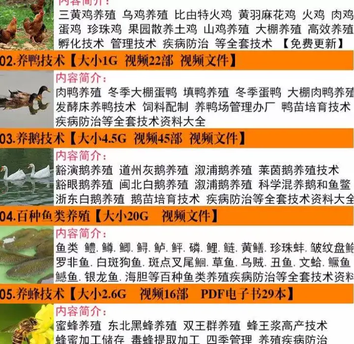 图片[2]-19种各类养殖畜牧技术视频资料-养殖技术鸡鸭鹅兔猪牛羊蝎子蚯蚓黄鳝泥鳅鱼类等家禽视频教程大全【电商热销51】-暗冰资源网
