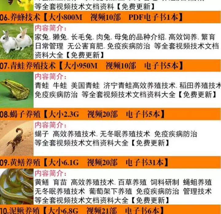 图片[3]-19种各类养殖畜牧技术视频资料-养殖技术鸡鸭鹅兔猪牛羊蝎子蚯蚓黄鳝泥鳅鱼类等家禽视频教程大全【电商热销51】-暗冰资源网