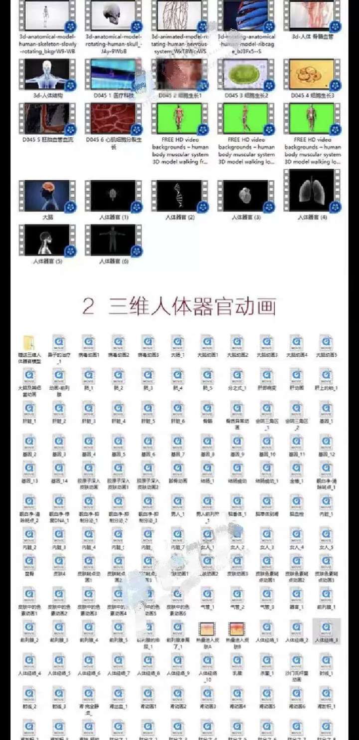 图片[2]-200个三维人体器官细胞视频素材-人体器官血液大脑皮肤病毒骨骼基因经络心脏三维3D动画【电商热销59】-暗冰资源网
