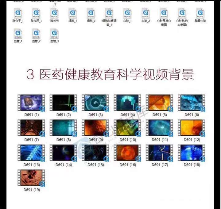 图片[3]-200个三维人体器官细胞视频素材-人体器官血液大脑皮肤病毒骨骼基因经络心脏三维3D动画【电商热销59】-暗冰资源网