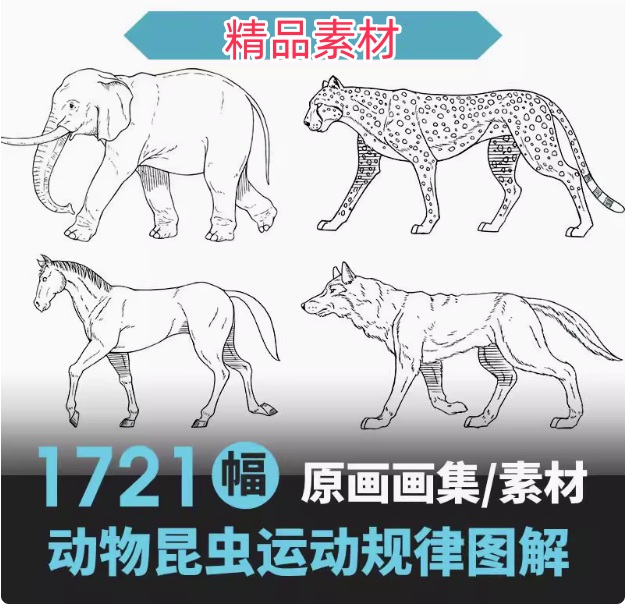 1721幅原画画集素材【动物昆虫运动规律图解】-动物昆虫图解素材合集 CG 动画 原画动作表演参考素材【电商热销67】-欢迎访问本站