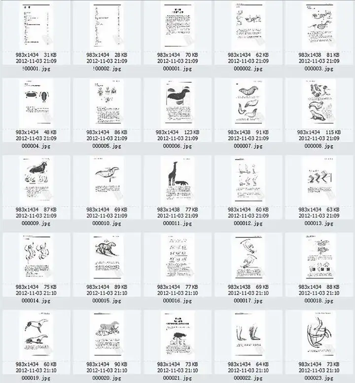 图片[2]-1721幅原画画集素材【动物昆虫运动规律图解】-动物昆虫图解素材合集 CG 动画 原画动作表演参考素材【电商热销67】-暗冰资源网