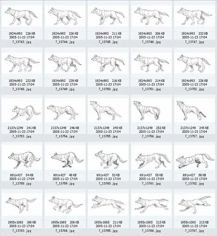 图片[3]-1721幅原画画集素材【动物昆虫运动规律图解】-动物昆虫图解素材合集 CG 动画 原画动作表演参考素材【电商热销67】-暗冰资源网