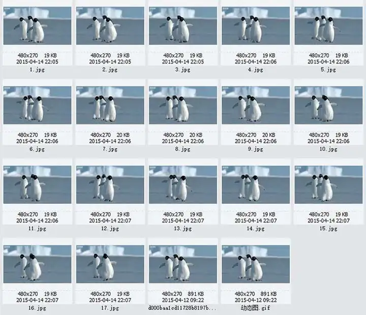 图片[4]-1721幅原画画集素材【动物昆虫运动规律图解】-动物昆虫图解素材合集 CG 动画 原画动作表演参考素材【电商热销67】-暗冰资源网