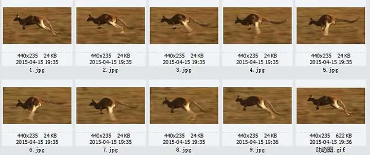 图片[6]-1721幅原画画集素材【动物昆虫运动规律图解】-动物昆虫图解素材合集 CG 动画 原画动作表演参考素材【电商热销67】-暗冰资源网