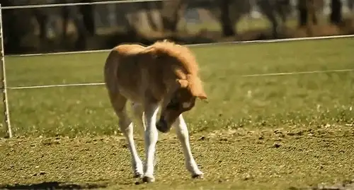 图片[10]-1721幅原画画集素材【动物昆虫运动规律图解】-动物昆虫图解素材合集 CG 动画 原画动作表演参考素材【电商热销67】-暗冰资源网