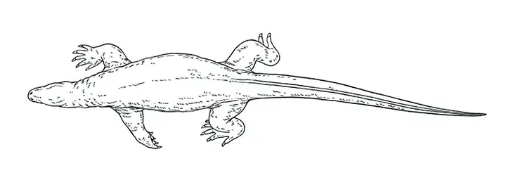 图片[16]-1721幅原画画集素材【动物昆虫运动规律图解】-动物昆虫图解素材合集 CG 动画 原画动作表演参考素材【电商热销67】-暗冰资源网