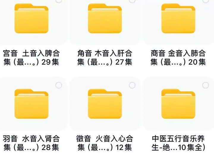 图片[4]-15个G中医五音疗法音视频全集mp3曲目合集中医养生曲子中医馆播放【电商热销538】-暗冰资源网