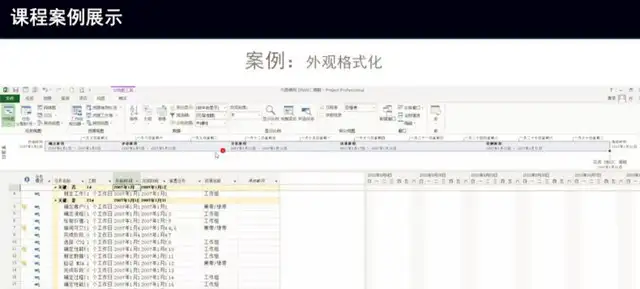 图片[4]-Project零基础视频教程-PMP项目管理工程办公流程甘特图日程表课程【电商热销726】-暗冰资源网