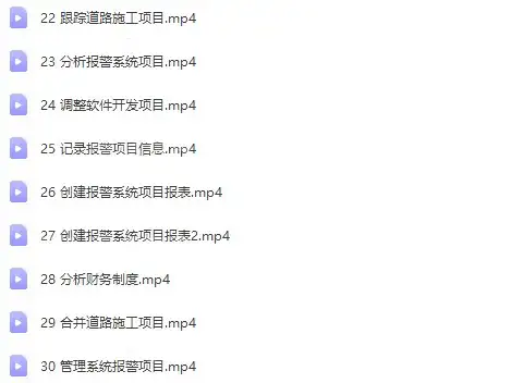 图片[19]-Project零基础视频教程-PMP项目管理工程办公流程甘特图日程表课程【电商热销726】-暗冰资源网