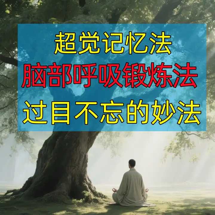 图片[2]-超觉记忆法-过目不忘修炼记忆力脑部呼吸锻炼法改造大脑健身气功养生训练方法【电商热销741】-暗冰资源网