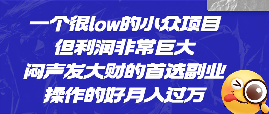 一个很low的冷门小众项目,利润巨大闷声发大财的首选副业!-欢迎访问本站