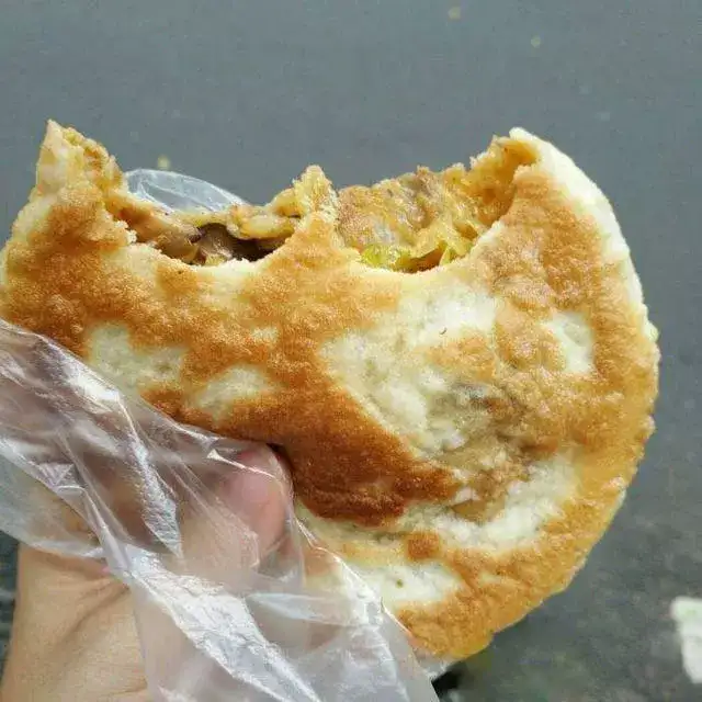 图片[6]-9种烧饼技术教程-烧饼技术配方教程大全梅干菜武大郎吊炉掉渣饼制作小吃摆摊创业【电商热销665】-暗冰资源网