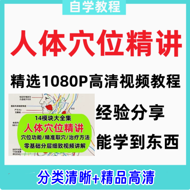 人体穴位精讲教程-功能精准取穴中医经络推拿按摩针灸视频课程【电商热销440】-欢迎访问本站