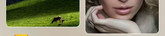 图片[6]-PS教程零基础视频教程-教学全套抠图修人像PS美工入门平面设计课程自学视频【电商热销663】-暗冰资源网