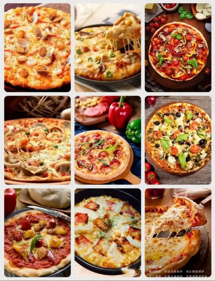 图片[10]-75种披萨技术做法配方教程-意大利薄底饼胚披萨配方30G视频+文档【电商热销662】-暗冰资源网