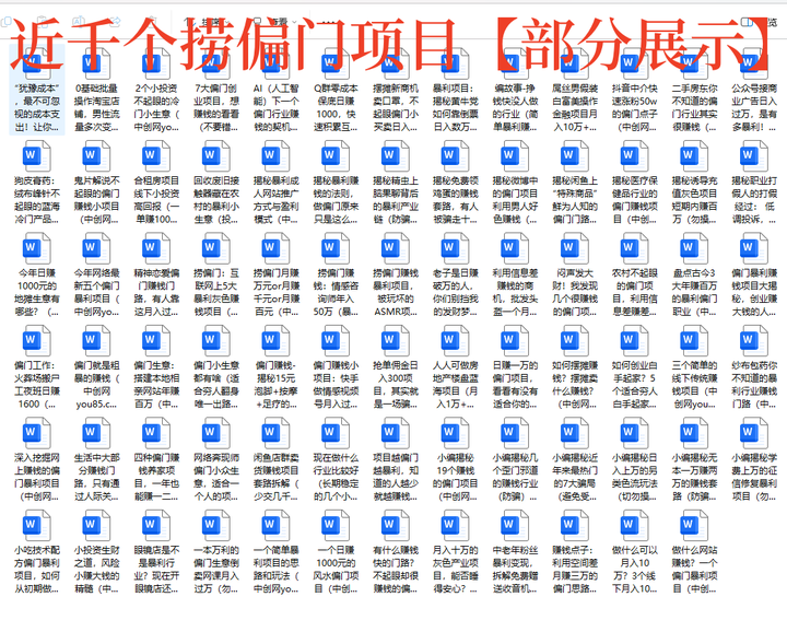 图片[6]-1000个冷门捞偏门小本创业小项目【无水印绝密版】总有一款适合你-暗冰资源网