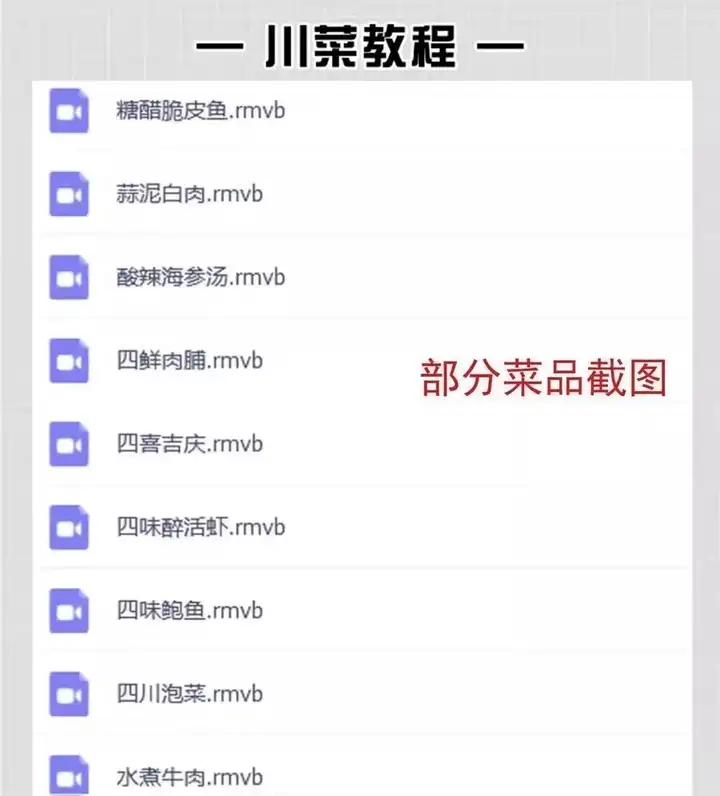 图片[9]-600多种快餐炒菜技术资料教程-商用小炒快餐盒饭大锅菜技术配方炒菜教学视频外卖盖浇饭食堂【电商热销534】-暗冰资源网