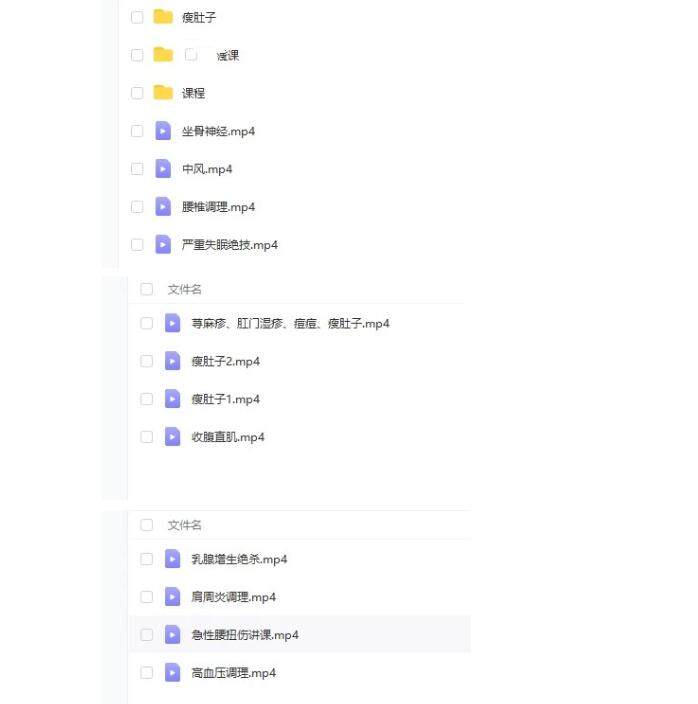 图片[2]-中医按摩推拿视频教程-按摩推拿疼痛耳鸣失眠 打呼噜坐骨神经痛【电商热销926】-暗冰资源网