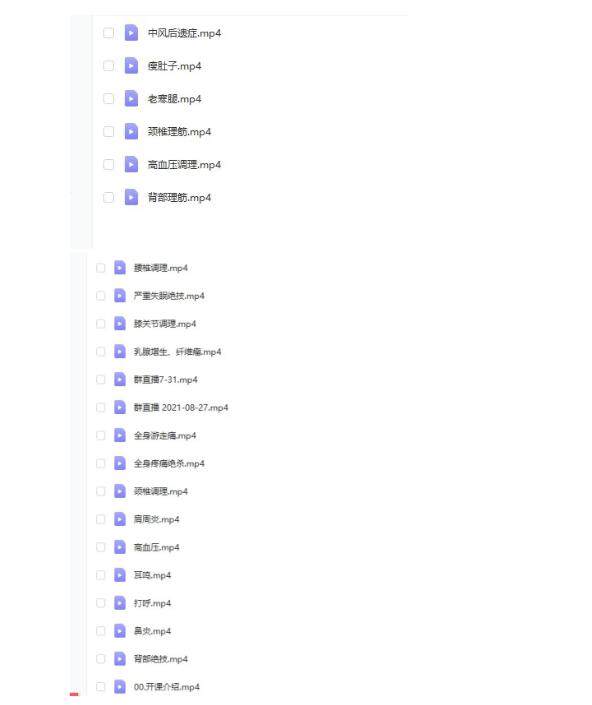 图片[3]-中医按摩推拿视频教程-按摩推拿疼痛耳鸣失眠 打呼噜坐骨神经痛【电商热销926】-暗冰资源网