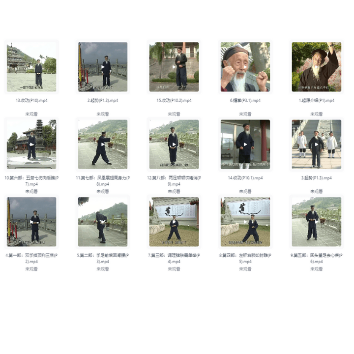 图片[3]-58G张至顺八部金刚功长寿功教程中医养生按摩中医教程张至顺全套养生课程【电商热销35】-暗冰资源网