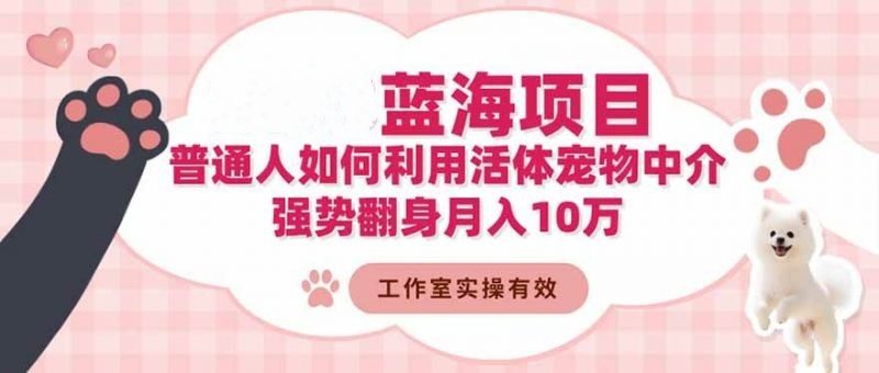 活体宠物中介冷门蓝海项目揭秘，26强势翻身月入10万-欢迎访问本站
