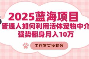 2025蓝海项目：普通人如何利用活体宠物中介，强势翻身月入10万-欢迎访问本站