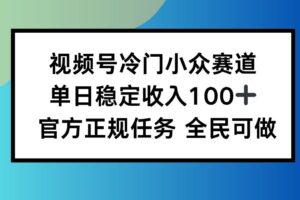 视频号小众赛道，单日稳定收入100+，适合所有人-欢迎访问本站