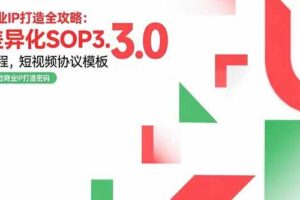 商业IP打造全攻略：差异化SOP3.0流程，短视频协议模板，婚恋项目实战案例-欢迎访问本站