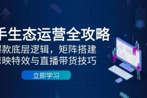 快手生态运营全攻略:爆款底层逻辑,矩阵搭建,剪映特效与直播带货技巧-欢迎访问本站