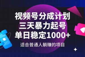 视频号分成计划，三天暴力起号玩法 单日稳定1000+-欢迎访问本站