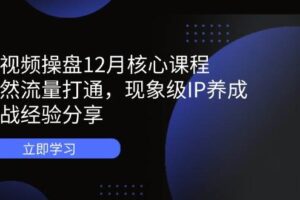 短视频操盘12月核心课程：自然流量打通，现象级IP养成，实战经验分享-欢迎访问本站