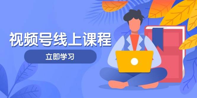 图片[1]-视频号实战课程，轻IP打造与运营技巧，掌握核心方法与策略-欢迎访问本站