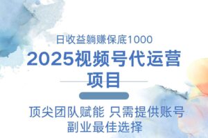 2025视频号代运营 日躺赚1000＋ 只需提供账号-欢迎访问本站