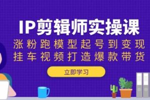IP剪辑师实操课：涨粉跑模型起号到变现，挂车视频打造爆款带货-欢迎访问本站