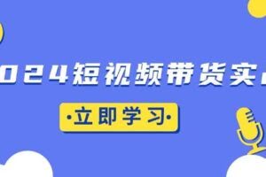 2024短视频带货实战：底层逻辑+实操技巧，橱窗引流、直播带货-欢迎访问本站