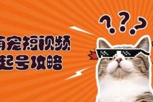 萌宠-短视频起号攻略：定位搭建推流全解析，助力新手轻松打造爆款-欢迎访问本站