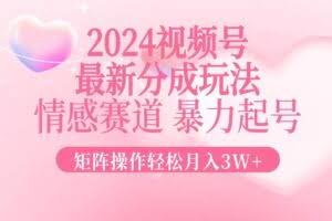 2024最新视频号分成玩法，情感赛道，暴力起号，矩阵操作轻松月入3W+-欢迎访问本站