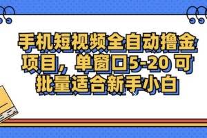 手机短视频掘金项目，单窗口单平台5-20 可批量适合新手小白-欢迎访问本站