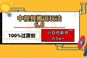 中视频搬运玩法6.0，利用软件双重去重，100%过原创，小白也能月入5w+-欢迎访问本站