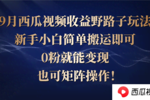 西瓜视频收益野路子玩法，新手小白简单搬运即可，0粉就能变现，也可矩…-欢迎访问本站